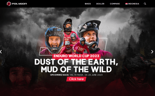 image of Polygon Bikes